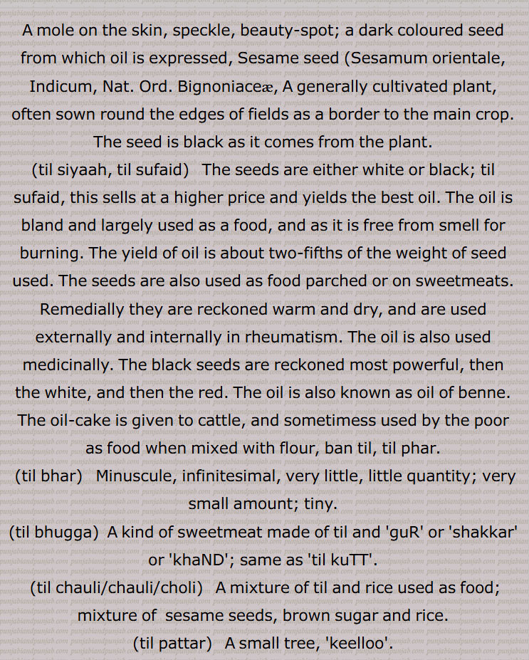 A mole on the skin, speckle, beauty-spot; a dark coloured seed from which oil is expressed, Sesame seed, Sesamum orientale, Indicum, A generally cultivated plant, often sown round the edges of fields as a border to the main crop, The seed is black as it comes from the plant, til siyaah, til sufaid, ,ban til, til phar, til bhar, til bhugga, til kuTT, til chauli, til chauli, til choli, til pattar, til pattra, til kuTT, til wihtre, til wihtra, til suTTan nu thaaN na hona,  til dharan nu thaaN na hona,  til til, til phul, til maatar, til , 