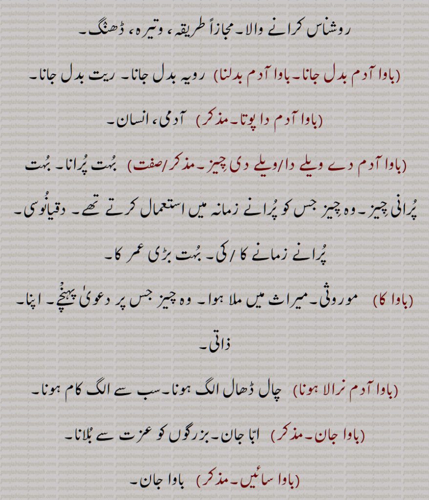 , خوبصورت بچہ,انگریز کا بچہ (اکثر ان کے نوکر بلاتے ہیں), کوئی شخص مخاطب کے طور پر مثلاً باوا توں ڈاڈھا ہیں, پیر, مخبوط الحواس, باپ, والد, پتا,استاد,گرو, میاں, بھائی,حرف تخاطب جو اکثر ناراضی و استکراہ کے موقع ہر مستعمل ہے,بچہ، بیٹا,