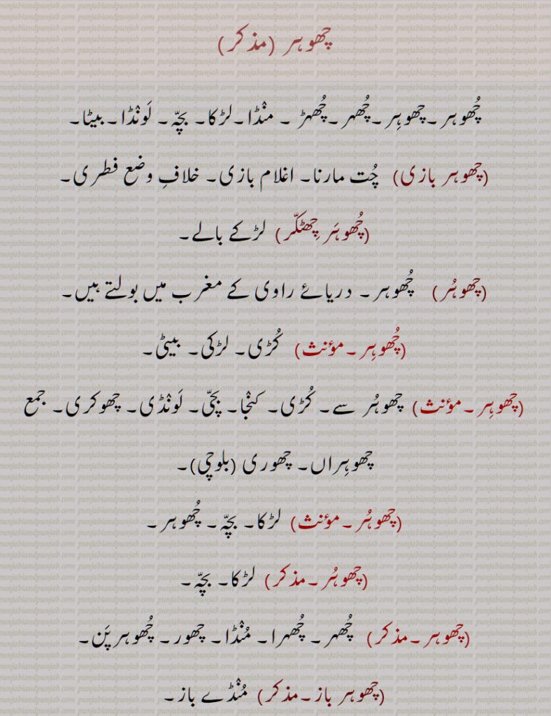 چھوہر , چُھوہر,چھوہِر,چُھہر,چُھہڑ  , منڈا,لڑکا, بچہ, لونڈا,بیٹا,چھوہر بازی, چت مارنا, اغلام بازی, خلاف وضع فطری,چھوہر چھٹکر, چھوہراں, چھوری ,چھوہر باز,چھوہر پن,چھوہر پنا,  چھرکی, چھچھورا پن,چھوہرا,چھوہراں,چھوہراں ویلی,چھوہری, کڑی, چھوری,دختر, لڑکی,چھوہریں,چھوہراں,چھوہری,چھوہراں ہتھ داڑھی آنا,چھور)  حد, بنا, کنارا,