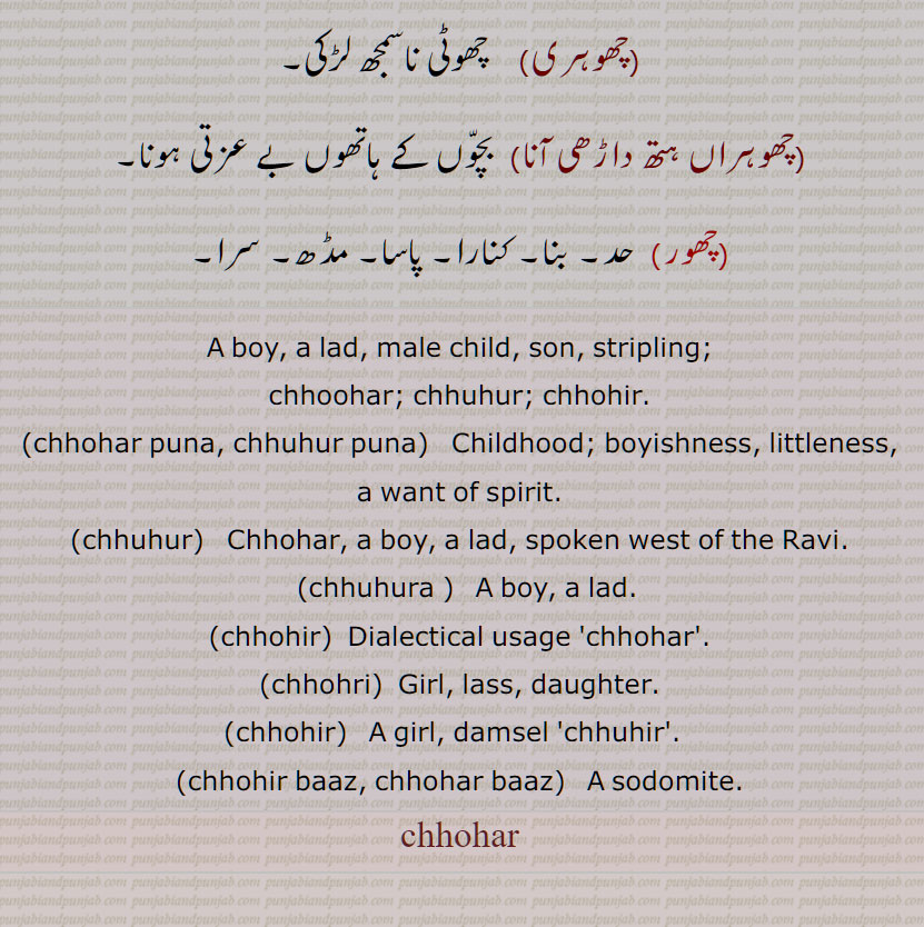 chhohar, ਛੋਹਰ,ਛੋਹਰੀ, ਛੁਹੁਰ , ਛੁਹੁਰਾ  