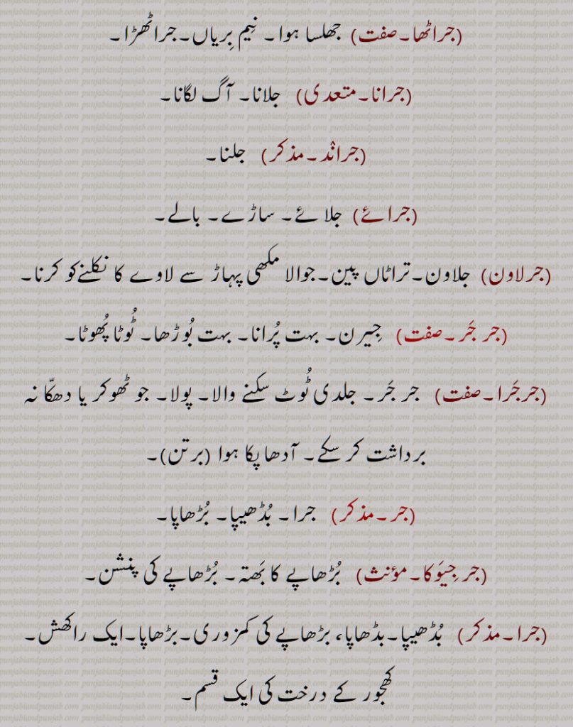 بڑھاپا, کھجور کے درخت کی ایک قسم,جرا آتر,جرا اوستھا,جرا مرا,جرادھی,جروآ,جروانا,جروانا,جری,جرٖیا,جروانا,جروانا,جروانہ,زور 