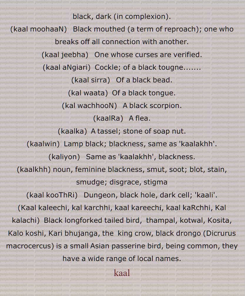 black, dark  in complexion, kaal moohaaN, kaal jeebha, kaal aNgiari, kaal sirra, kal waata, kal wachhooN, kaalRa, kaalka, kaalwin, kaliyon, kaalkhh, kaal kooThRi, Kaal kaleechi, kal karchhi, kaal kareechi, kaal kaRchhi, Kal kalachi, Dicrurus macrocercus, kaal, ਕਾਲ, 