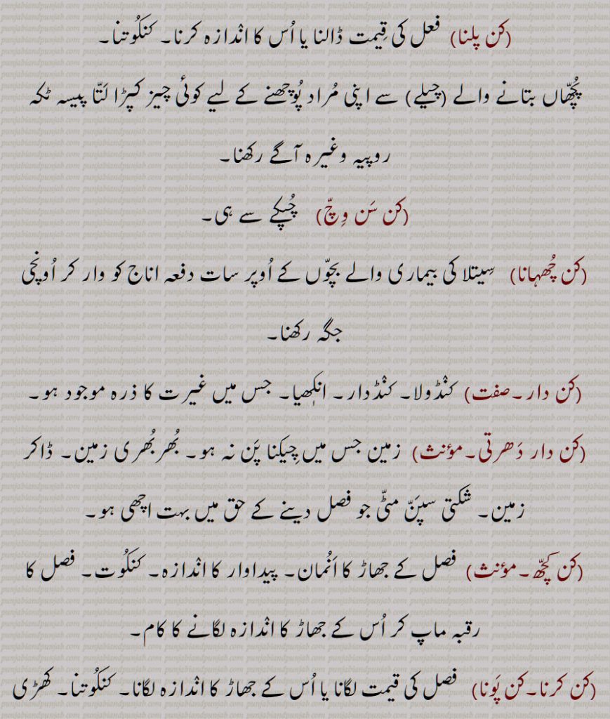 کی قیمت کا اندازہ,پیاز کا بیج جو پنیری کے لیے بیجا جاتا ہے, پیاز کی پنیری, پیاز کا ہرا پودا, پھولوں کی کلی, کوا, زیتون قسم کا درخت,  چاولوں کی ٹوٹی ہوئی کنیاں,شعر کی ایک سطر, انکھ,غیرت,سویمان,ستیا, بل,حوصلہ, طاقت, سٹا, بلی,, کن بننا, کن پلنا, کن سن وچ, کن چھہانا, کن دار, کن دار دھرتی, کن کچھ, کن کرنا,کن پونا, کنکوت,کنکوٹ, کنکوتنا,   کنکوتی, کنوئی, کنی, 