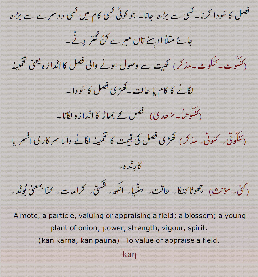 A mote, a particle, valuing or appraising a field, a blossom, a young plant of onion, power, strength, vigour, spirit,  kan karna, kan pauna, kan, ਕਣ

