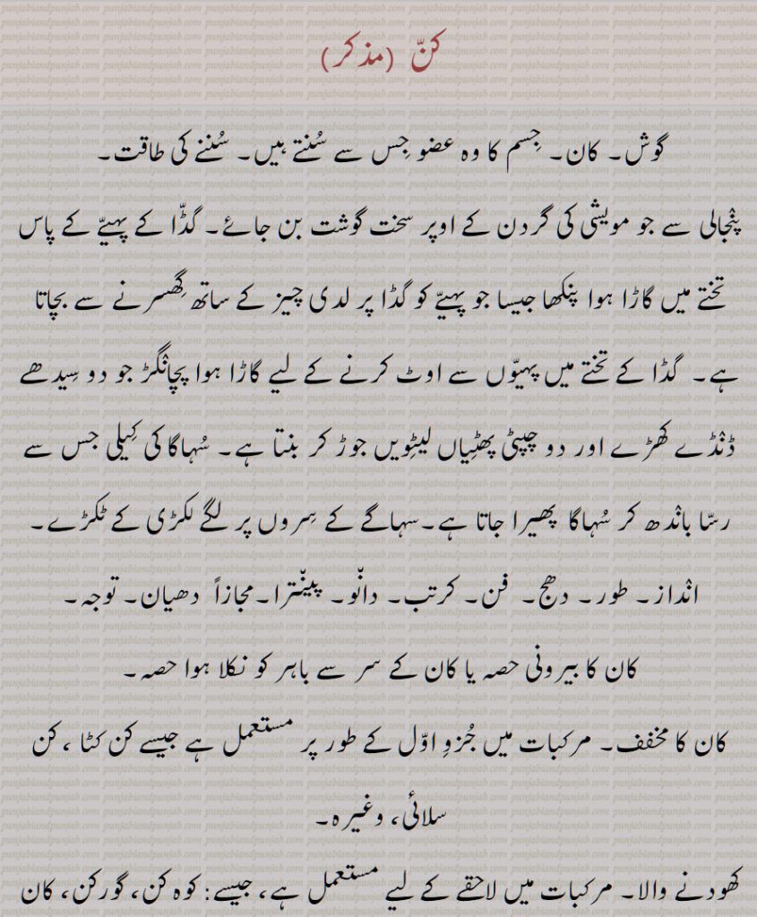 کن, کنّ, گوش, کان, جسم کا وہ عضو جس سے سنتے ہیں, سننے کی طاقت,
پنجالی سے جو مویشی کی گردن کے اوپر سخت گوشت بن جائے, گڈا کے پہیے کے پاس تختے میں گاڑا ہوا پنکھا جیسا جو پہیے کو گڈا پر لدی چیز کے ساتھ گھسرنے سے بچاتا ہے,  گڈا کے تختے میں پہیوں سے اوٹ کرنے کے لیے گاڑا ہوا پچانگڑ جو دو سیدھے ڈنڈے کھڑے اور دو چپٹی پھٹیاں لیٹویں جوڑ کر بنتا ہے, سہاگا کی کیلی جس سے رسا باندھ کر سہاگا  پھیرا جاتا ہے,سہاگے کے سروں پر لگے لکڑی کے ٹکڑے,
انداز, طور, دھج,  فن, کرتب, دانو, پینترا,مجازاً  دھیان, توجہ,کان کا بیرونی حصہ یا کان کے سر سے باہر کو نکلا ہوا حصہ,کان کا مخفف, مرکبات میں جزو اول کے طور پر مستعمل ہے جیسے کن کٹا ، کن سلائی، وغیرہ,کھودنے والا, مرکبات میں لاحقے کے لیے مستعمل ہے، جیسے: کوہ کن، گورکن، کان کن وغیرہ,