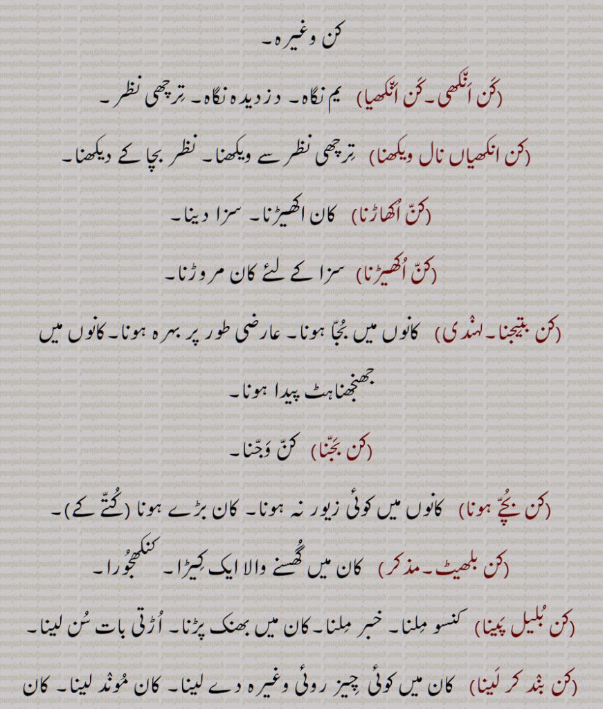کن انکھی,کن انکھیا,کن انکھیاں نال ویکھنا,کن اکھاڑنا,کن اکھیڑنا,کن بتیجنا,کن بجنا,کن بچے ہونا,کن بلھیٹ,کن بلیل پینا,کن بند کر لینا,,