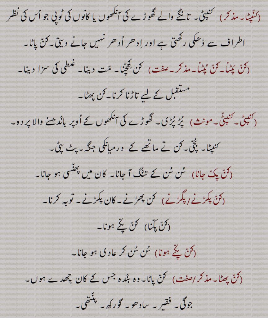 ,کنپٹا,کن پٹنا,کن پٹنا,کنپٹی,کنپٹی,کن پک جانا,کن پکڑنے/ پگڑنے,کن پکنا,کن پکے ہونا,کن پھٹا,