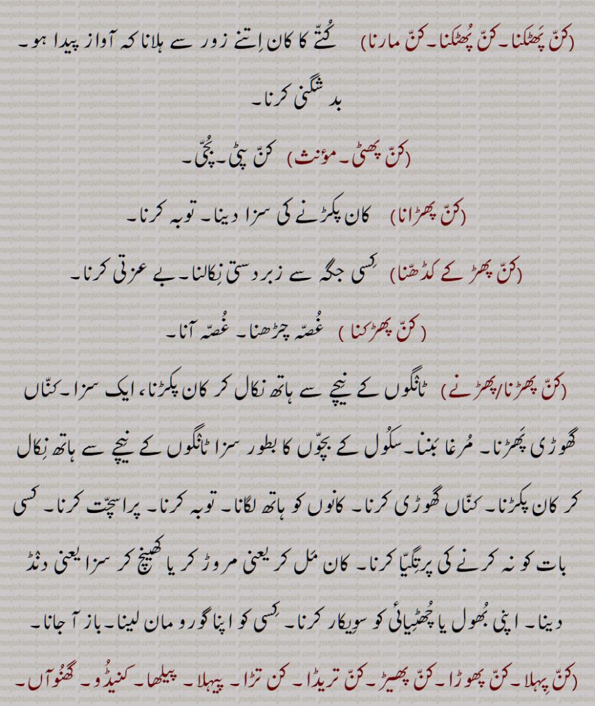  کن پھٹکنا,کن پھٹکنا,کن مارنا,کن پھٹی,کن پھڑانا,کن پھڑ کے کڈھنا, کن پھڑکنا,کن پھڑنا/پھڑنے,کن پہلا,کن پھوڑا,کن پھیڑ,کن تریڈا, کن تڑا, پیہلا, پیلھا, کنیڈو, گھنوآں,