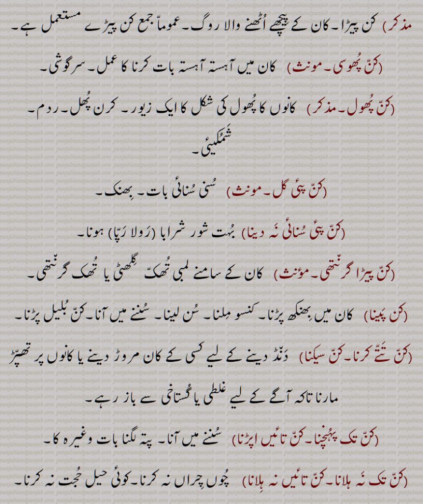 کن پھوسی,کن پھول,,کن پئی گل,کن پئی سنائی نہ دینا,کن پیڑا گرنتھی,کن پینا,کن تتے کرنا,کن سیکنا,کن تک پہنچنا,کن تائیں اپڑن, کن تک نہ ہلانا,کن تائیں نہ ہلان