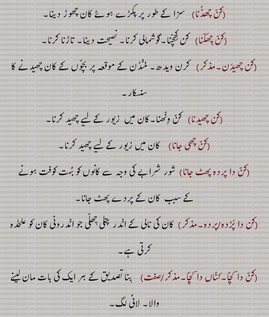 کن چھڈنا,کن چھکنا,کن چھیدن,کن چھیدنا,کن چھی جانا,کن دا پردہ پھٹ جانا,کن دا پڑدہ/پردہ,کن دا کچا,کناں دا کچا,