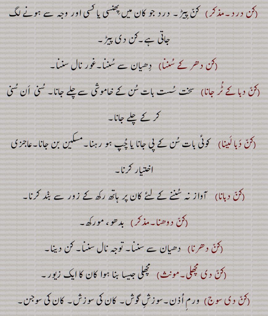 کن درد,کن دھر کے سننا,کن دبا کے ٹر جانا,کن دبا لینا,کن دبانا,کن دوھنا,کن دھرنا,کن دی مچھلی,,کن دی سوج,