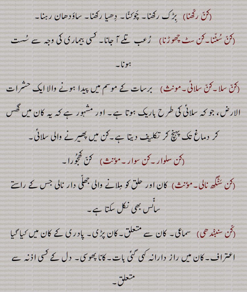 ,کن رکھنا,کن سٹنا,کن سٹ چھوڑنا,کن سلا,کن سلائی,مونث,کن سلوار,کن سوار,کن سنگھ نالی,کن سنبندھی,