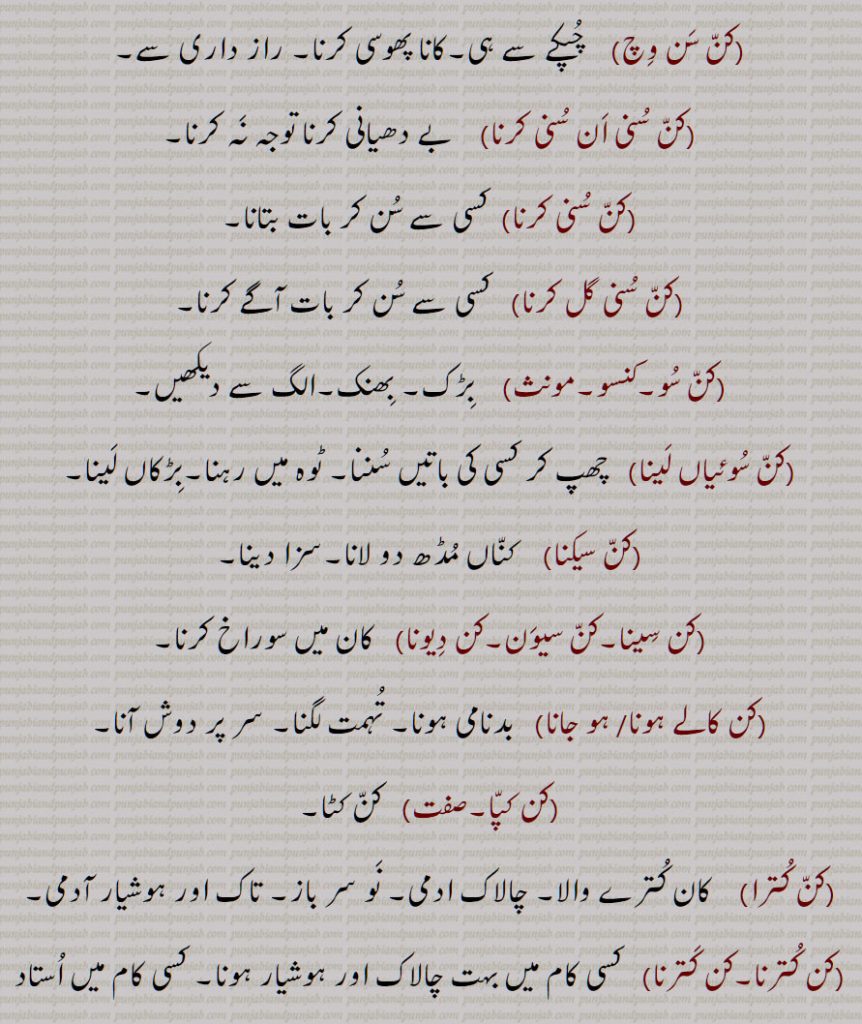کن سن وچ,کن سنی ان سنی کرنا,کن سنی کرنا,,کن سنی گل کرنا,کن سو,کنسو,کن سوئیاں لینا,کن سیکنا,کن سینا,کن سیون,کن دیونا,کن کالے ہونا/ ہو جانا,,کن کپا,کن کترا,کن کترنا,کن کترنا,
