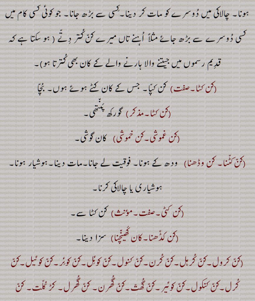 کن کٹا,کن کٹا,کن غموشی,کن خموشی,کن کٹنا, کن وڈھنا,کن کٹی,کن کڈھنا,کان کھینچنا,کن کرول,کن کرہل,کن کرن,کن کنول,کن کوئل,کن کوئر,کن کوئیل,کن کرل,کن کنکول,کن کوئیر,کن گھت,کن گھرن, کن گھرل, کڑ کلت, کن بلھیٹ