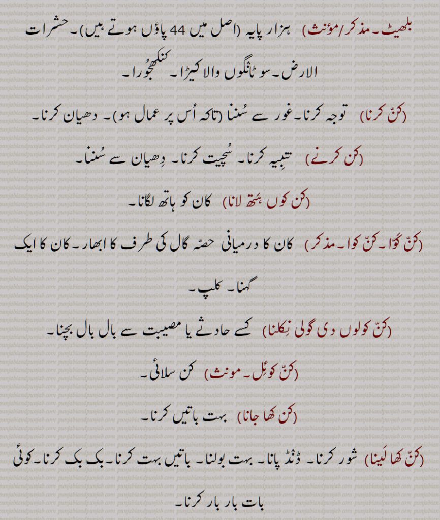 , کن کرنا,کن کرنے,کن کوں ہتھ لانا,کن کوا,کن کوا,کن کولوں دی گولی نکلنا,کن کوئل,کن کھا جانا,کن کھا لینا