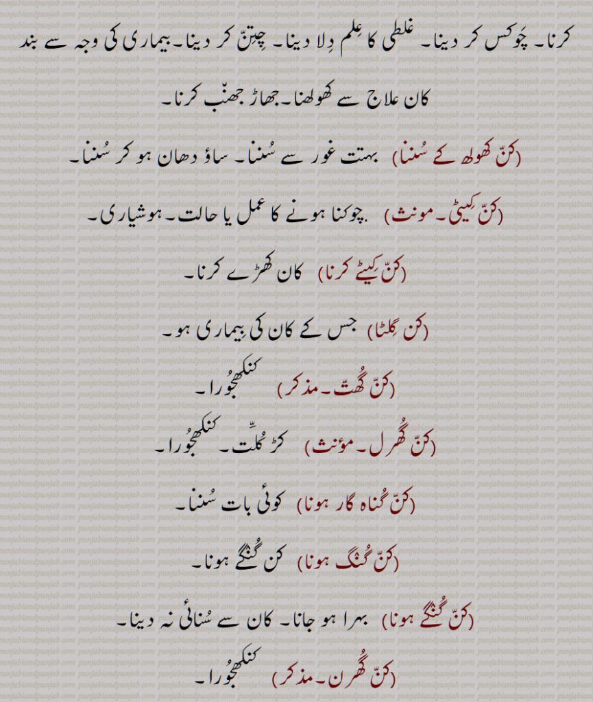 کن کھولھ کے سننا,کن کیٹی,کن کیٹے کرنا,کن گلٹا,کن گھت,کن گھرل,کن گناہ گار ہونا,کن گنگ ہونا,کن گنگے ہونا,کن گھرن,