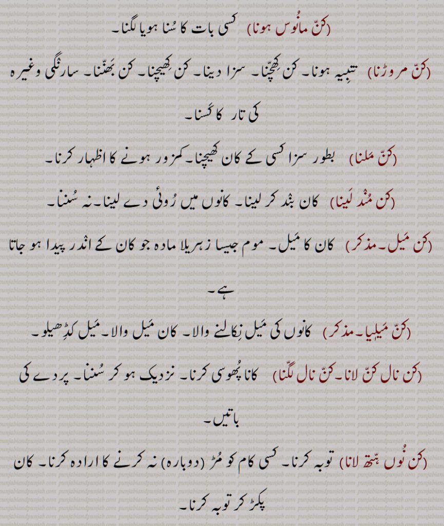 کن مانوس ہونا,کن مروڑنا,کن ملنا,کن مند لینا,کن میل,کن میلیا,کن نال کن لانا,کن نال لگنا,کن نوں ہتھ لانا