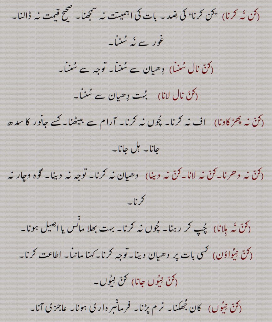 کن نہ کرنا,کن نال سننا,کن نال لانا,کن نہ پھڑکاونا,کن نہ دھرنا,کن نہ لانا,کن نہ دینا,کن نہ ہلانا,کن نیواون,کن نیوں جانا,کن نیوں
