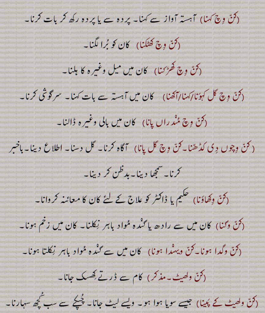 کن وچ کہنا,کن وچ کھٹکنا,کن وچ کھڑکنا,کن وچ گل کہونا/کہنا/آکھنا,کن وچ مندراں پانا, کن وچوں دی کڈھنا,کن وچ گل پانا,کن وکھاونا,کن وگنا,کن وگدا ہونا,کن ویہندا ہونا,کن ولھیٹ,کن ولھیٹ کے پینا
