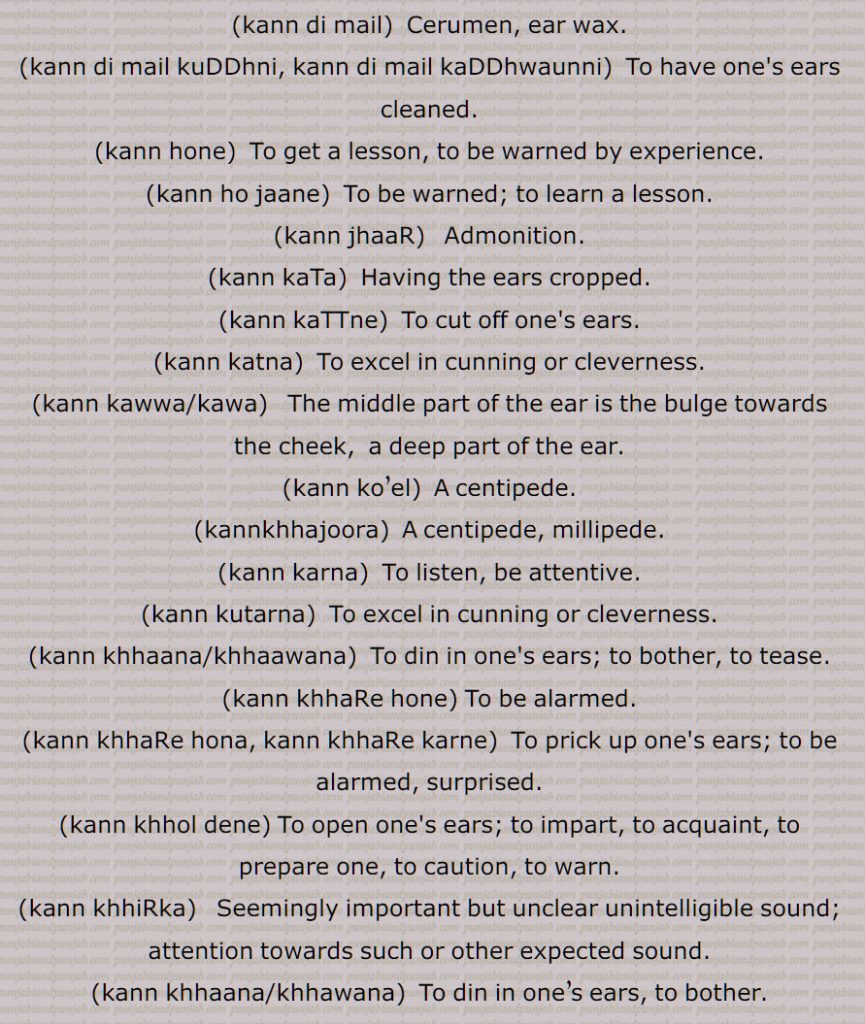 kann khhiRke laina, kann na halaana/hilauna, kann laana/lawana, kann paini, kann paTTi, kann phaRaune, kann phaRna, kann phool, kann puTTna, kann saNbaNdhi,kann suTna, kann sekna, kann di soj, kann seena/seewana, kann te/teN hatth rakkhna/lawana, kann te jooN na challni, kann theewana, kann waihna, kann wajjne, kann wichch kahina, kann wichch rooN dena, kann wichch uNgliyaaN dena, kann wihna, kann winhauna, kann winnhana, is kann sunna us kann kaDDh dena, kanniN, kannaaN ghesal maarna, kann,