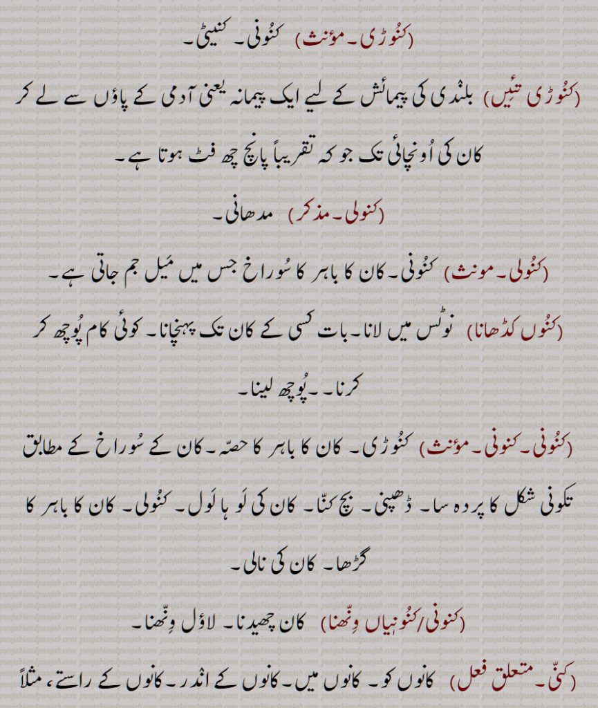 کناں وچیں کڈھنا,کنوں  پھڑ کے باہر کڈھنا,کنوں کڈھانا,کنوں کنیں,کنو,,کنوڑی,کنوڑی تئیں,کنولی,کنولی,کنوں کڈھانا,کنونی,کنونی,کنونی/کنونیاں ونھنا,کنی, کنی,کنّیں آواز پینا,کڽیں,کنّیں پانا,کنّیں پرونا,کنّیں پینا,کنّیں والا پرونا,