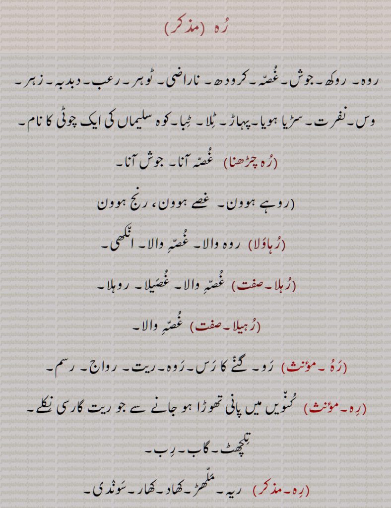 رہ , رُہ , روہ, روکھ,جوش,غصہ,کرودھ, ناراضی, ٹوہر,رعب,دبدبہ,زہر, وس,نفرت,سڑیا ہویا,پہاڑ, ٹلا, ٹبا,کوہ سلیماں کی ایک چوٹی کا نام,,رہ چڑھنا,رہاولا,رہلا,رہیلا,رہ ,رہ,رہ,روہ,روہ,روہ,روہ بھریا,روہ جاگنا,روہ چڑھنا , 