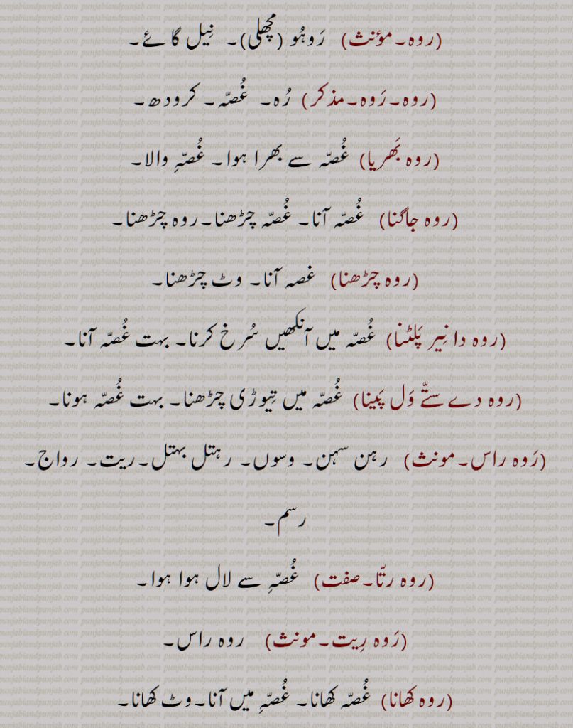  روہ دا نیر پلٹنا, روہ دے ستے ول پینا, روہ راس,روہ رتا,روہ ریت,روہ کھانا,روہ نال,روہ نال بھرے پھرنا,روہ نال تنور ہونا,روہ نال جھگ چھڈنا,روہ وچ آنا,روہ ودھانا,روہ ہونا,روہا,روہلا,روہلا,روہلی,روہنا,روہیلا,
