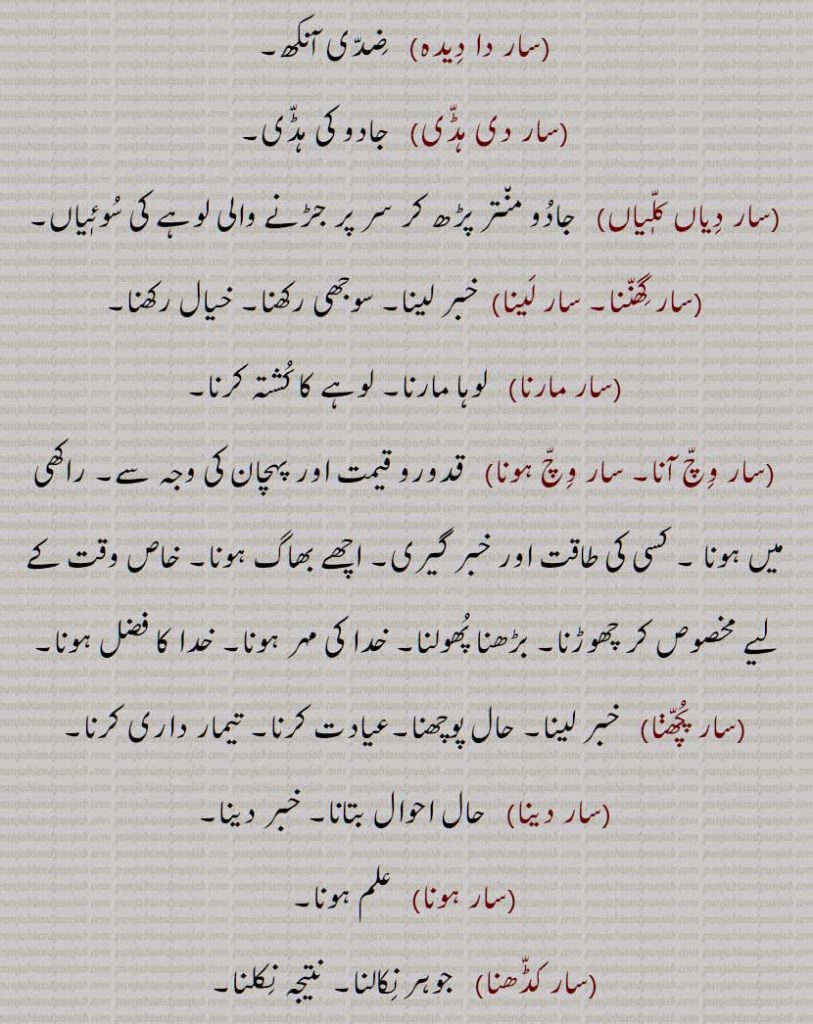، جیسے: آؤندیاں سار,  ,سار پاسہ,  سار پار, سار داترکلا, سار دا دیدہ, سار دی ہڈی, سار دیاں کلٖیاں, سار گھننا, سار لینا, سار مارنا,سار وچ آنا, سار وچ ہونا, سار پچھنا,سار دینا,سار ہونا,سار کڈھنا,سار کھیڈناسار ولی,