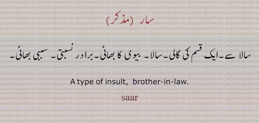 سار ,saar,ਸਾਰ,  ,slang  ,گالی  ,