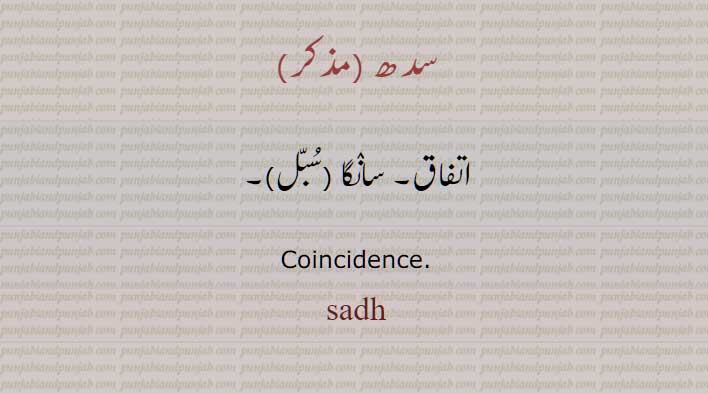 سدھ, اتفاق, Coincidence, sadh, ਸਧ