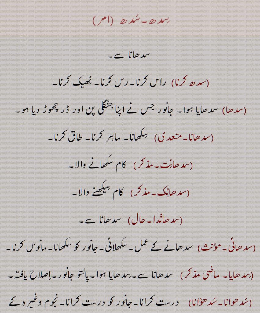 سِدھ,سدھ,  سدھانا ,سدھ کرنا, سدھا,سدھانا,سدھائت, سدھائک, سدھاندا, سدھائی,سکھلائی,جانور کو سکھانا, سدھایا,, سدھوانا,سدھؤانا, sadhaana, sadh karna, To adjust, correct, or align something; to bring into proper order or harmony, sadha, sadhaana,  sadhaait, sadhaaik,  saadhak, sadhaanda,  sadhai, sadhaaya, sadhwaana, sadhauna,sidh, sadh, ਸਧ, ਸਾਧਕ, ਸਿਧਾ, ਸਿਧਾਉਣਾ, ਸਿਧਾਈ,
