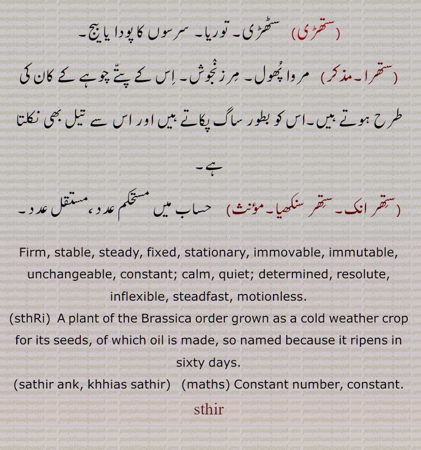 Firm, stable, steady, fixed, stationary, immovable, immutable, unchangeable, constant; calm, quiet; determined, resolute, inflexible, steadfast, motionless, sthR,  sathir ank, khhias sathir, Constant number, sthir,ਸਥਿਰ, ਸਥਿਰ ਅੰਕ,  ਖਿਆੰਸ ਸਥਿਰ