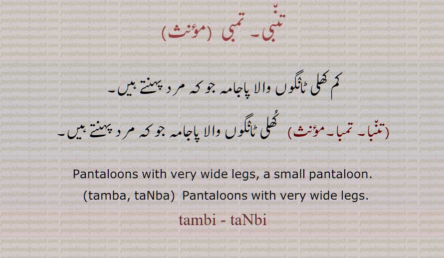 تنبی,تمبی , tambi, taNbi, ਤਮਬੀ, ਤੰਬੀ, ਤਮਬਾ , ਤੰਬਾ, 