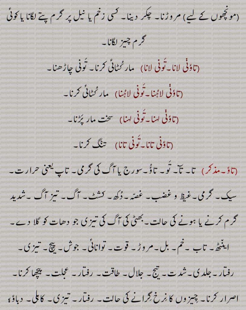  گرمی,سیک, ٹکور, پسینہ, تریلی,مار کوٹ, کٹ مار, مار پیٹ, لوہار کی بھٹی جس میں دھونکنی کی پھونک سے آگ تیز کر کے لوہے کو گرم سرخ کیا جاتا ہے,,تاؤنی چاڑھنا,تونی چاڑھنا,تاؤنی چڑھنا,تونی چڑھنا,تاؤنی دینا,تونی دینا,تاؤنی لانا,تونی لان,تاؤنی لاہنا,
