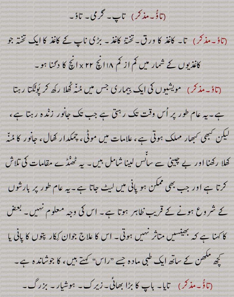تونی لاہنا,تاؤنی لہنا,تونی لہنا,تاؤنی تانا,تونی تانا,تاؤ, تا, تآ, تو, تاؤ,سورج یا آگ کی گرمی,تاؤ پانا,تاؤ کھانا,تاؤ وچ آنا,تاؤنا,توندی,تونو تونی,تونی تائی رکھنا,تاؤ, مویشیوں کی ایک بیماری,تاوی,تھاوی,