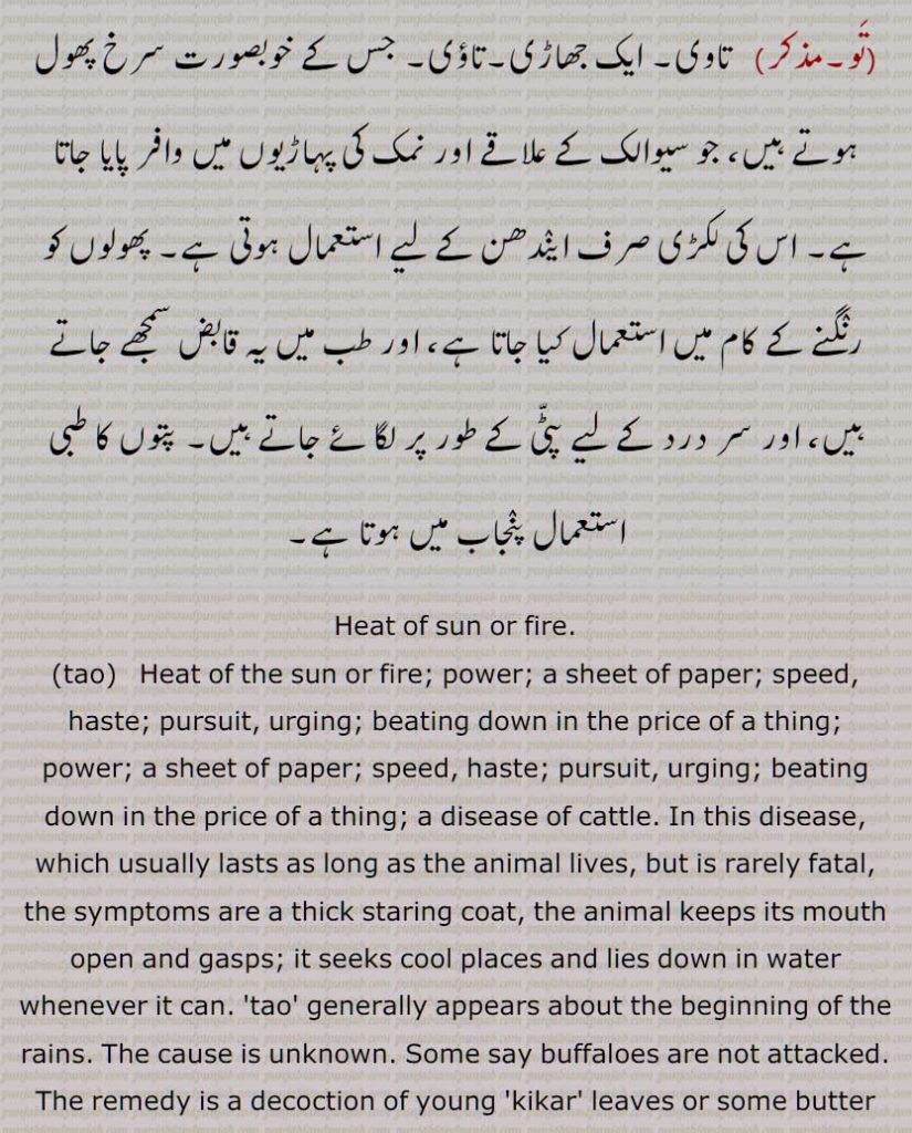 Heat of sun or fire, tao,Heat of the sun or fire, sheet of paper, tao puana, taona, taoni dena/deni, tauNdi, taaiya, taiya, tao, Grislea Tomentosa, Nat. Ord. Lythrarieœ, dhawi, taawi, tao, tau,