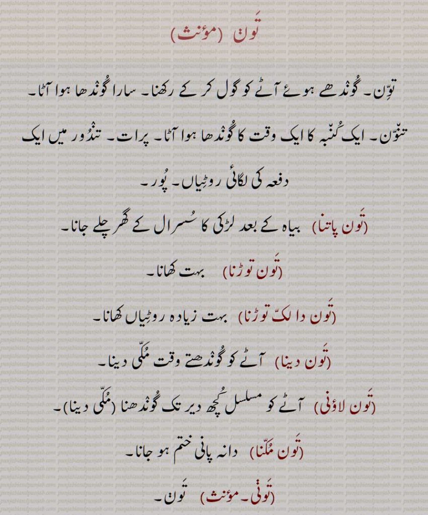 تَون, گوندھے ہوئے آٹے کو گول کر کے رکھنا,تون پاتنا,تون توڑنا,تون دا لک توڑنا,تون دینا,تون لاؤنی,تون مکنا,تونی,توون,تون مریجی,تون,A mass of kneaded flour, mass or lump of dough or kneaded flour, taoni, taoni launi,taon,taun,   ਤੌਣ, ਤੌਣੀ, ਤੌਣੀ ਲਾਉਣੀ,tauni,