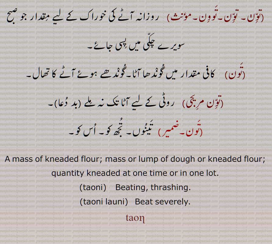تَون, گوندھے ہوئے آٹے کو گول کر کے رکھنا,تون پاتنا,تون توڑنا,تون دا لک توڑنا,تون دینا,تون لاؤنی,تون مکنا,تونی,توون,تون مریجی,تون,A mass of kneaded flour, mass or lump of dough or kneaded flour, taoni, taoni launi,taon,taun,   ਤੌਣ, ਤੌਣੀ, ਤੌਣੀ ਲਾਉਣੀ,tauni,