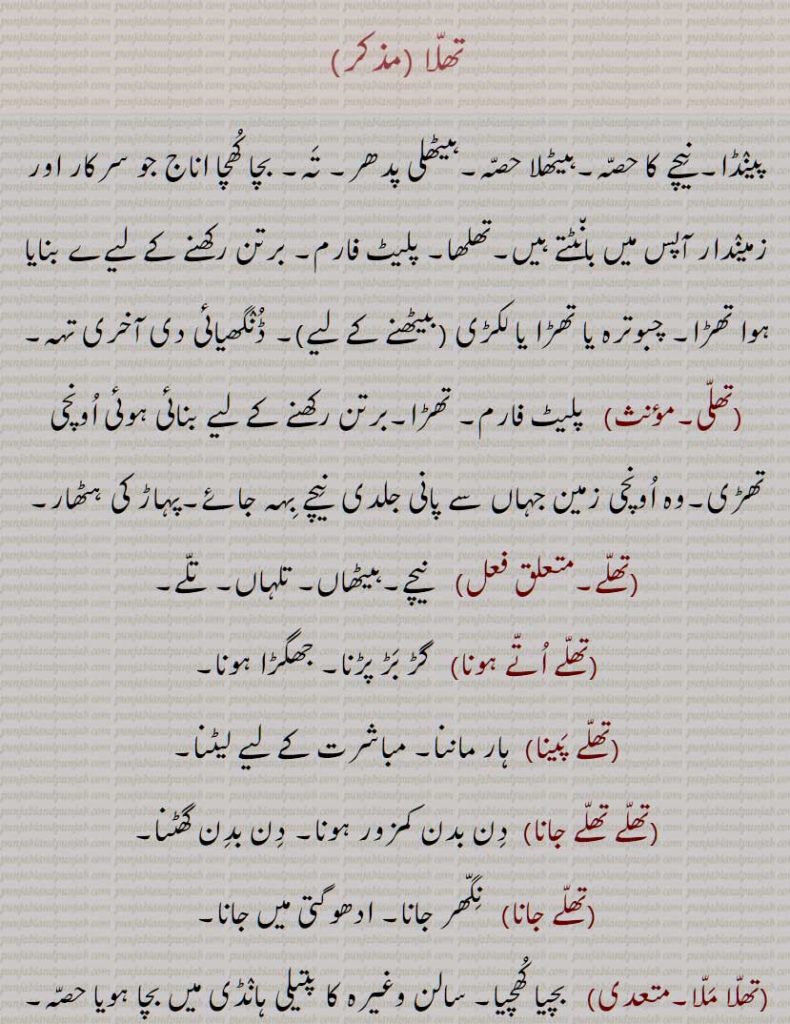 تھلّا , پینڈا, نیچے کا حصہ,ہیٹھلا حصہ,ہیٹھلی پدھر, تہ, بچا کھچا اناج جو سرکار اور زمیندار آپس میں بانٹتے ہیں,تھلھا, پلیٹ فارم, برتن رکھنے کے لیےے بنایا ہوا تھڑا, چبوترہ یا تھڑا یا لکڑی , ڈنگھیائی دی آخری تہہ, تھلی, تھلّے, تھلے اتے ہونا, تھلے پینا,