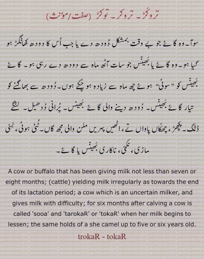 تروکڑ۔ تروکر۔ توکڑ , وہ گائے جو بے وقت بمشکل دودھ دے یا جب اس کا دودھ کھانگڑ ہو گیا ہو۔وہ گائے یا بھینس جو سات آٹھ ماہ سے دودھ دے رہی ہو, A cow or buffalo that has been giving milk not less than seven or eight months, trokar, tokar, tarokar, ਤੋਕੜ, ਤੋਕਡ਼, ਤਰੋਕਡ਼, ਤਰੋਕੜ,