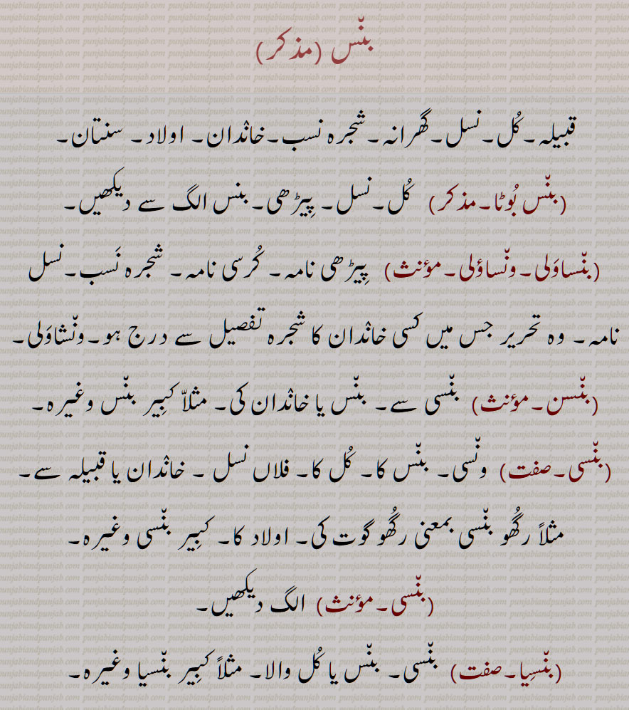 بنس, قبیلہ,کل,نسل,گھرانہ,شجرہ نسب,خاندان, اولاد, سنتان, بنس بوٹا, بنساؤلی, بنساولی,ونساؤلی, بنسن,, بنسی, بنسیا,  Tribe, clan, dynasty; lineage, descent, line, family, offspring, a descendant, genealogy, pedigree, stock; race, line, lineage, house, bansan,, baNsi, baNsaawali, waNsaawali, waNsaauli, bans,wansauli,, ਵਨਸਾਉਲੀ,wansawaliਵਨਸਾਵਲੀ, ਬਨਸ, ਬੰਸ,ਬਨਸਣ, bansan, ਬਣਸੀ , bansi,   ਬੰਸਾਵਲੀ, 