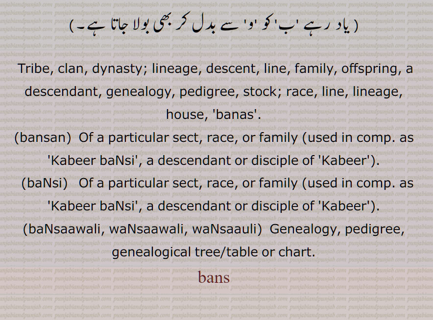 بنس, قبیلہ,کل,نسل,گھرانہ,شجرہ نسب,خاندان, اولاد, سنتان, بنس بوٹا, بنساؤلی, بنساولی,ونساؤلی, بنسن,, بنسی, بنسیا,  Tribe, clan, dynasty; lineage, descent, line, family, offspring, a descendant, genealogy, pedigree, stock; race, line, lineage, house, bansan,, baNsi, baNsaawali, waNsaawali, waNsaauli, bans,wansauli,, ਵਨਸਾਉਲੀ,wansawaliਵਨਸਾਵਲੀ, ਬਨਸ, ਬੰਸ,ਬਨਸਣ, bansan, ਬਣਸੀ , bansi,   ਬੰਸਾਵਲੀ, 