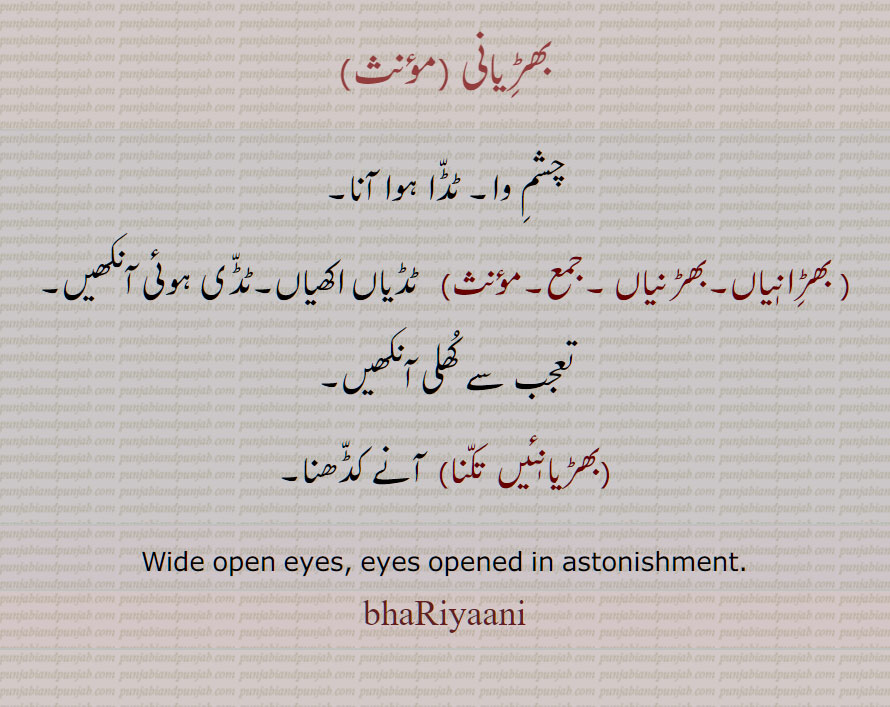 بھڑانیاں ,بھڑِانیاں  , بھڑنیاں,ٹڈیاں اکھیاں,تعجب سے کھلی آنکھیں, Wide open eyes, eyes opened in astonishment, bhaRiaaniyaaN,bhaRniyaan,ਭੜਿਾਨਿਆਂ, ਭੜਨਿਆਂ, bhaRianiyaan, bhaRiaaniyaan, bhaRiyaani, ਭੜਿਆਨੀ, بھڑیانی,  بھڑیانئیں  تکنا