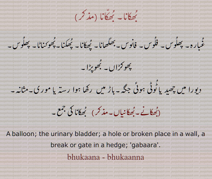 بھکانا, بھکانا ,غبارہ, پھلوس, فلوس,, فانوس,بھگھانا,, پھکانا, پھکنا,پھوکناٹا, پھلوس, پھوکڑاں, بھوپڑا, ٹوٹی ہوئی جگہ,موری,مثانہ,,بھکانے,بھکانیاں,  balloon,urinary bladder,hole or broken place,  gabaara,bhukaana, bhukaanna, ਭੁਕਾਨਾੱ, ਭੁਕਾਨਾ, بُھکانا, بُھکّانا