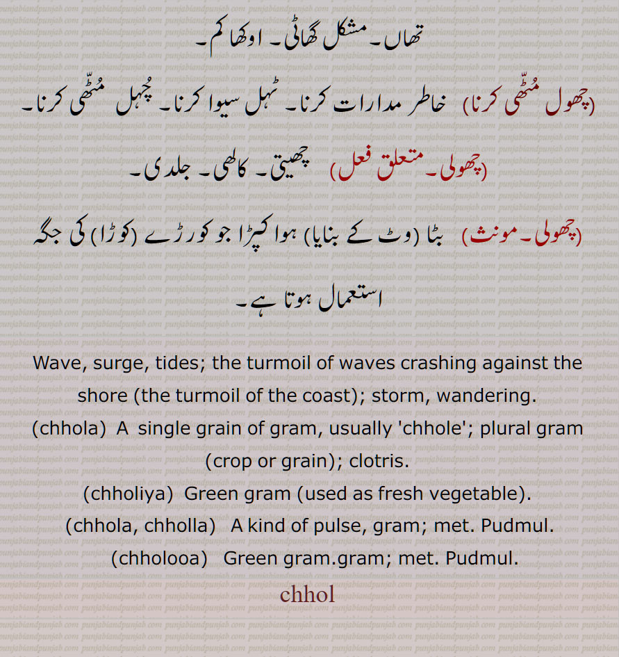 چھول,لہر,موج,مدوجزر,ساحل سے ٹکرانے والی لہرورں کا تلاطم ,کنارے کا تلاطم,جوار بھاٹا,ہجوم,طوفان, آوارگی,چھولی,چھولی آونا,چھولی دینا,چھولٖیاں ڈیونا,چھولیاں,چھول,چھول بوٹے,چھولیا,چھولوآ,چھولے دے  کے  پڑھنا,چھولیاں دا وڈھ,,چھول مٹھی کرنا,چھولی,چھولی,,,Wave, surge, tides; the turmoil of waves crashing against the shore ,the turmoil of the coast,storm, wandering, chhola, chholiya, chhola, chholla, chholooa, chhol ,Pudmul,  , ਛੋਲ,ਛੋਲਾ, ਛੋਲੇ , ਛੋਲੀਆ, ਛੋੱਲਾ, ਛੋਲੂਆ,