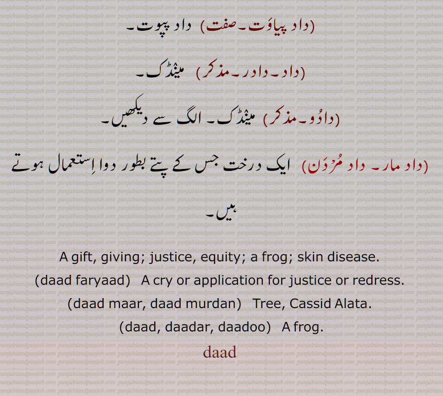 gift, giving, justice, equity, a frog; skin disease,daad faryaad, daad maar, daad murdan,Cassid Alata,daad, daadar, daadoo, frog, daad, ਦਾਦ ,dad , ਦਾਦਰ , dadar,