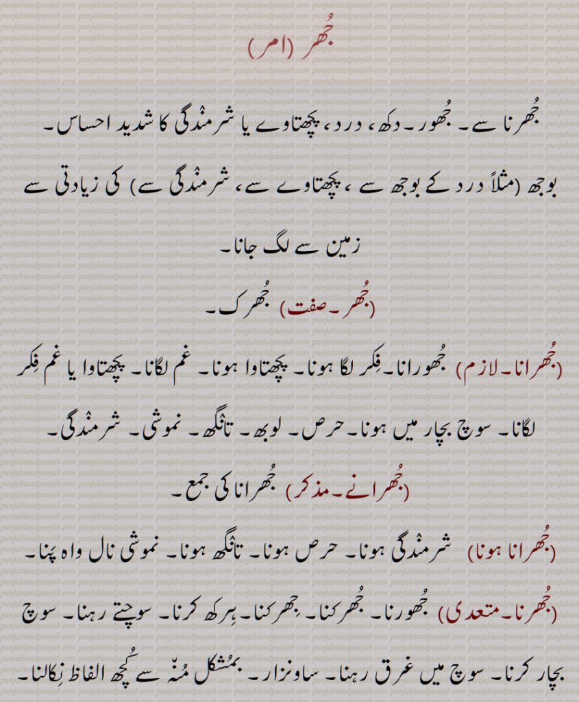 جھر ,جُھر ,جھرنا سے, جھور,دکھ، درد، پچھتاوے یا شرمندگی کا شدید احساس, جھرک,جھرانا,جھرانے,جھرانا ہونا,جھرنا,جھرنا جھکھنا,جھر جھکھ آنا,جھروانا,جھریماں, جھریوا, جھریواں,جھریا,جھر,جھرک,جھرکانا,جھرکنا,جھرا,جھور,