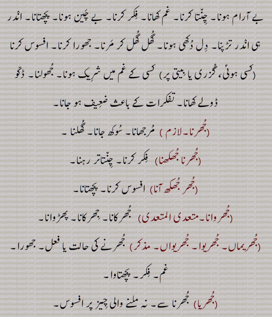 جھر ,جُھر ,جھرنا سے, جھور,دکھ، درد، پچھتاوے یا شرمندگی کا شدید احساس, جھرک,جھرانا,جھرانے,جھرانا ہونا,جھرنا,جھرنا جھکھنا,جھر جھکھ آنا,جھروانا,جھریماں, جھریوا, جھریواں,جھریا,جھر,جھرک,جھرکانا,جھرکنا,جھرا,جھور,