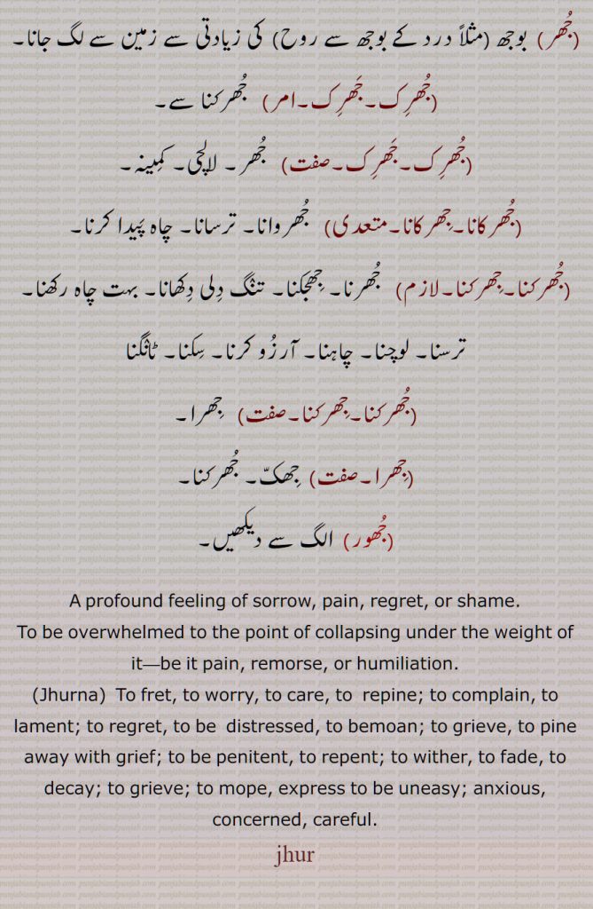 A profound feeling of sorrow, pain, regret, or shame,Jhurna, jhur, jhir, ਝੁਰ, ਝੁਰਨਾ, ਝੂਰਨਾ , Jhuran, to pine away with grief,
