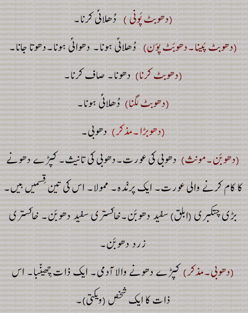 دھوب ,کشتی کا ایک داؤ,دھلائی,کپڑا دھونے کا عمل, دھوب پینا, دھوب گھر, دھوب گھاٹ , دھوبا, دھوبٹ, دھوبٹ پونی, دھوبٹ پینا,دھوبٹ پون, دھوبٹ کرنا, دھوبٹ لگنا, دھوبڑا, دھوبن, دھوبی,دھوبی پٹڑا,دھوبی پاٹ,دھوبی پٹکا, دھوبی خانہ,دھوبی گھاٹ, دھوبی گھاٹ, دھوبی لگنا, دھوبی,  عِلاج, dhoba, dhoban, dhobi, dhobi ghaaT, dhobi paTRa, dhobi, dhob, ਧੋਬਾ , ਦੋਬੀ, ਧੋਬਣ ,ਧੋਬਣ, ਧੋਬੀ,ਧੋਬੀ ਘਾਟ, ਧੋਬੀ ਪਟੜਾ, 